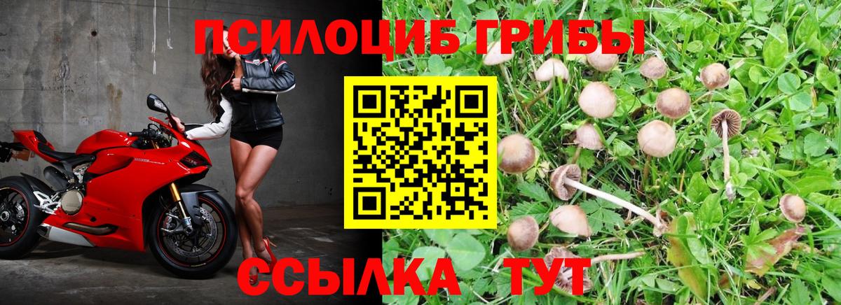 Галлюциногенные грибы мухоморы Кимовск