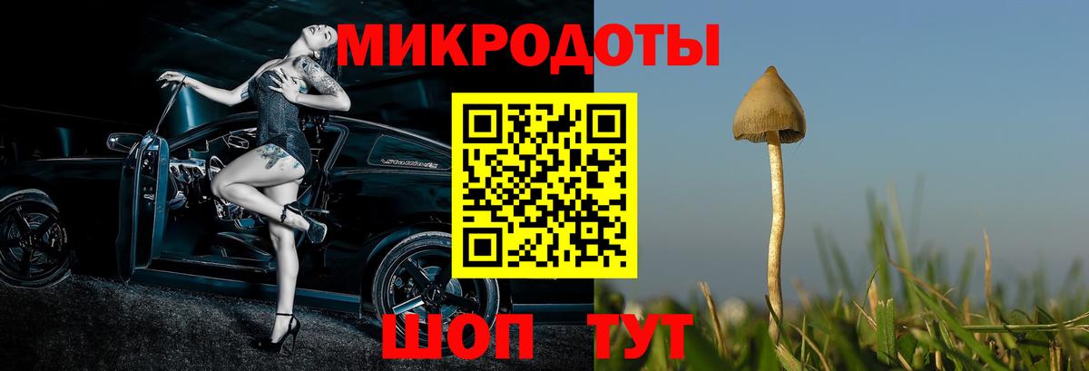 Кимовск  Псилоцибиновые грибы Cubensis  Вход с VPN 